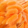 Bundt af tørret lagurus i orange